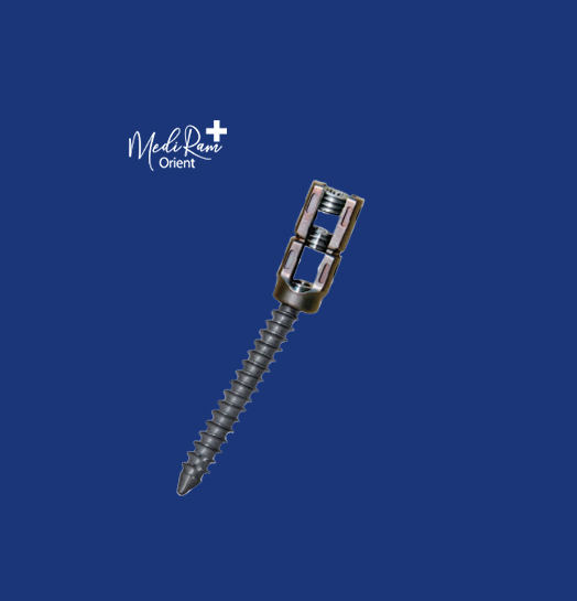 Polyaxial Pedicle Screw with Cap – &amp;#216;6.0 mm – Titanium (Multiple Lengths)
